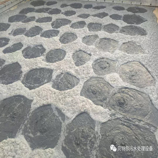 山東貝特環保出口設備成功運行！